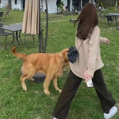 超级家长监护人